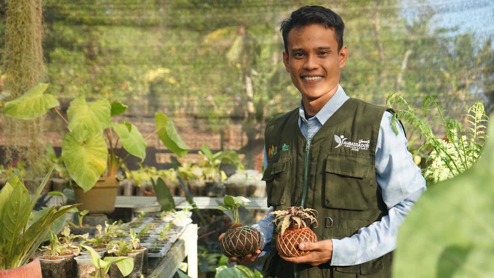 News, Pertanian Ladang Cuan, Petani Millenial asal Bone Sukses Kembangkan Klaster Usaha Tanaman Hias, Petani milenial,tanaman hias,Program YESS,produk
