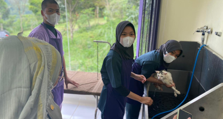 News, Cheerful Pet, Usaha Pet Grooming Mahasiswa Polbangtan Kementan, PPIU JABAR,Program YESS,Kementrian Pertanian,Polbangtan Bogor
