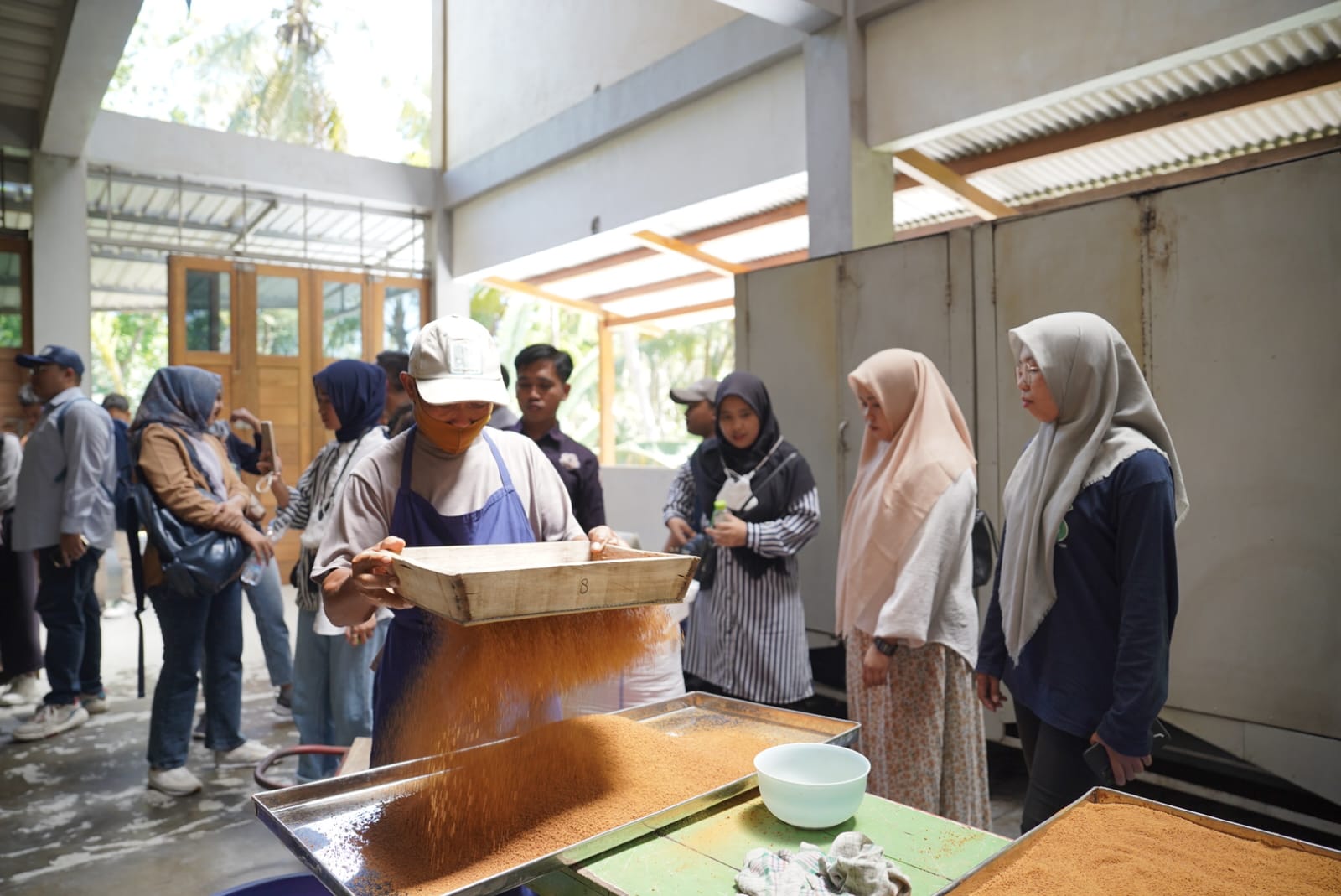 News, Kementan Perkuat Kelembagaan Petani Melalui Korporasi, BPPSDMP,Program YESS,pertanian