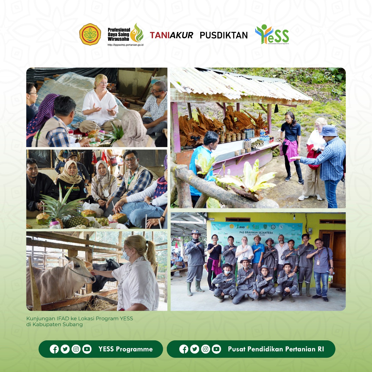 Galeri - Foto, Tim IFAD Apresiasi Kemajuan Program YESS , IFAD,kementerian pertanian,program YESS,sobatyess,pusdiktan