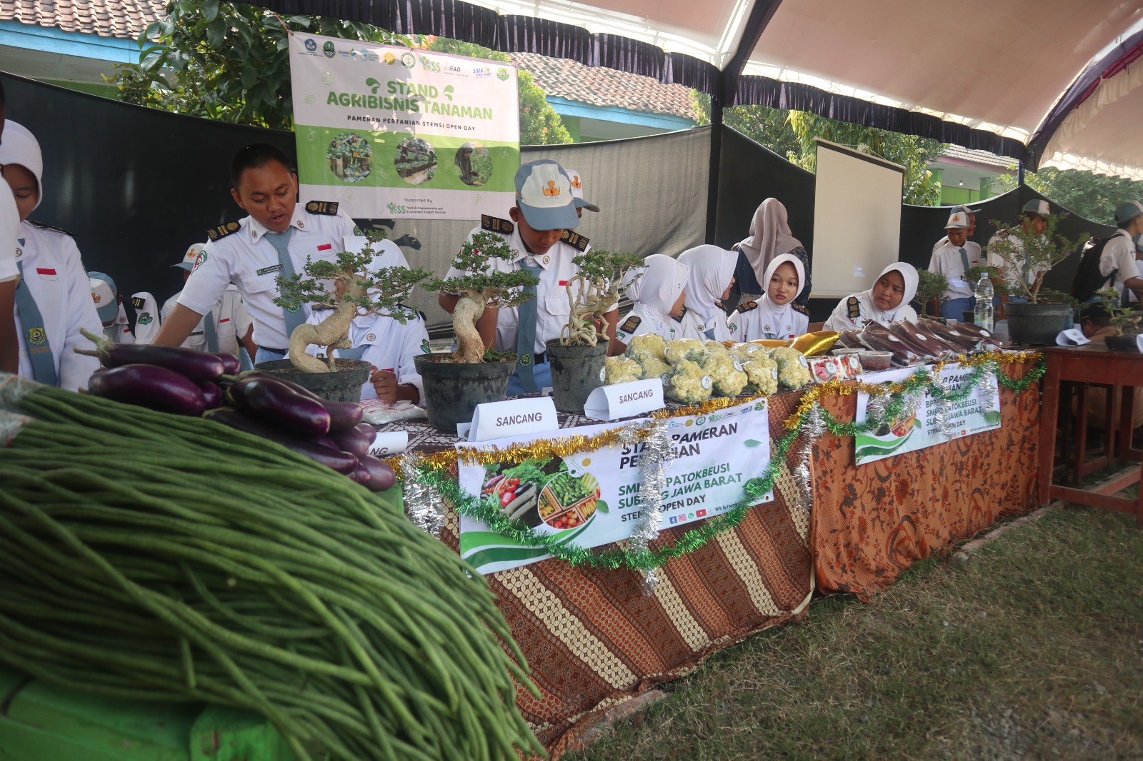 News, Polbangtan Kementan Tingkatkan Minat Siswa di Bidang Pertanian melalui Open Day, kementerian pertanian,BPPSDMP,Polbangtan Bogor
