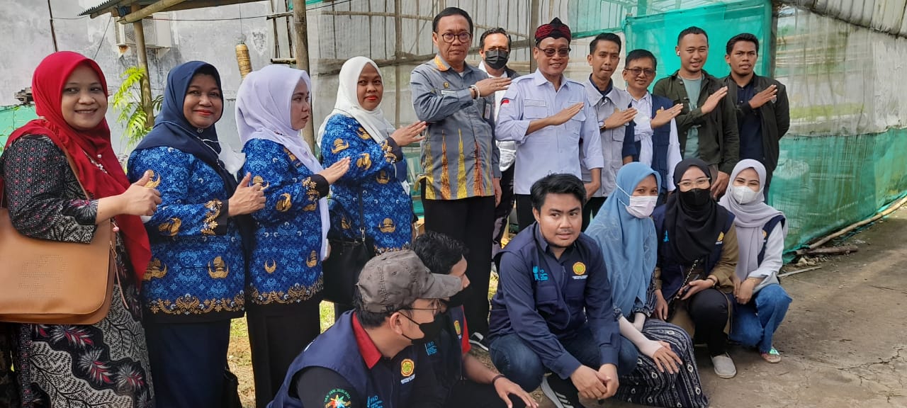 News, Tekan Biaya Produksi, Petani Milenial Maros Raup Untung Berlipat, Petani milenial,Program YESS,Kementan,Hidroponik,Maros