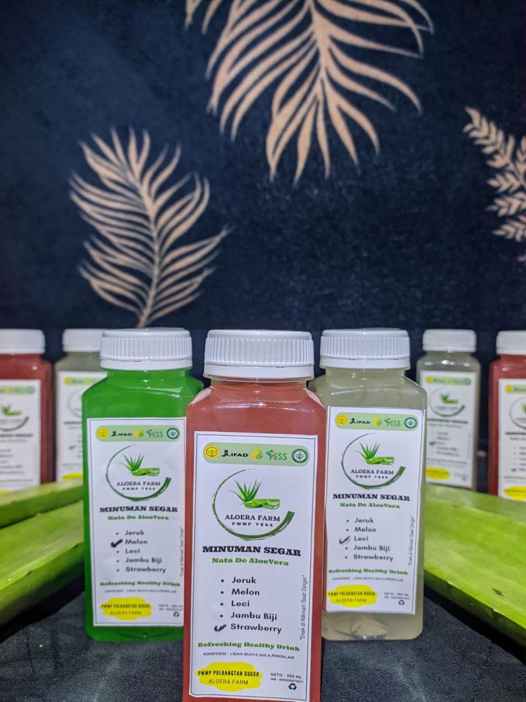 News, Olah Lidah Buaya, Mahasiswa Polbangtan Kementan Produksi Minuman Segar Kaya Khasiat, IPAD,Program YESS,kementerian pertanian,BPPSDMP,Polbangtan Bogor