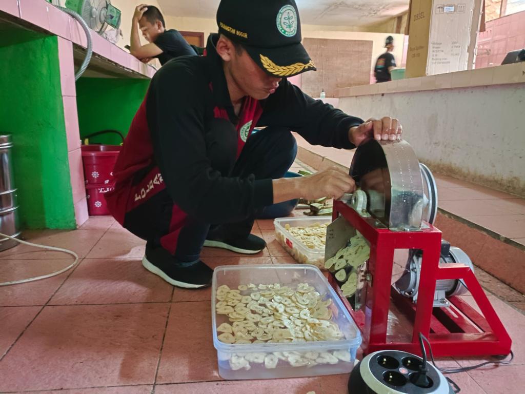 News, Kubernana Chips, Olahan Pisang Inovasi Mahasiswa Polbangtan Kementan, IPAD,Program YESS,kementerian pertanian,BPPSDMP,Polbangtan Bogor