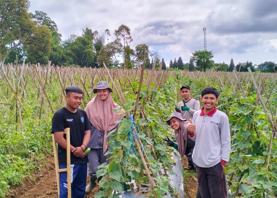 News, Secarik Catatan Perjalanan : Menyusun Impian Diantara Pedasnya Kehidupan, Magang Bersertifikat,petanimillenial,petanisukabumi,gesi
