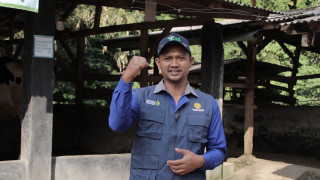 News, Bangga Jadi Peternak, Milenial asal Cianjur Ini Sukses Jadi Pengusaha Pertanian, Peternak,Pengusaha Pertanian