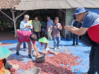 News,  Petani Muda Brebes Jadi Inspirasi Negara Malaysia, Kementan Perkuat Kolaborasi, Petani milenial,YESS Programme,Young Ambassador 2023,Regenerasi Petani