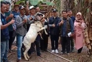 News, Kementan Dukung Penuh, Pengembangan Wirausaha Petani Milenial Tasikmalaya, Polbangtan Bogor,BPPSDMP,kementerian pertanian