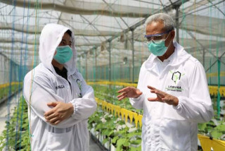 Webinar, Terapkan Budidaya Smart Green House, Petani Milenial Kudus Hasilkan Ratusan Juta, webinar