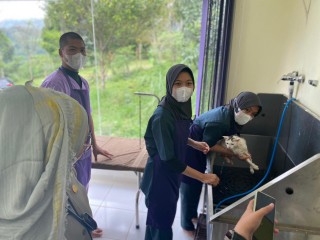 News, KEREN! PPIU Jawa barat fasilitasi Klinik Hewan Polbangtan Bogor lengkap dengan Pet Hotel dan Grooming, Polbangtan Bogor,kementerian pertanian,Program YESS,IPAD