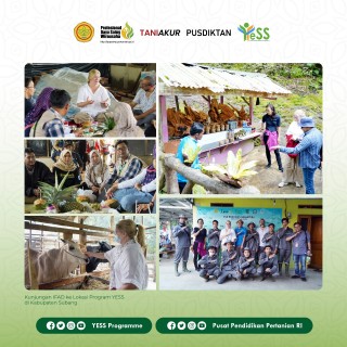 Galeri - Foto, Tim IFAD Apresiasi Kemajuan Program YESS , IFAD,kementerian pertanian,program YESS,sobatyess,pusdiktan