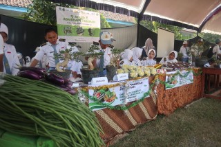 News, Polbangtan Kementan Tingkatkan Minat Siswa di Bidang Pertanian melalui Open Day, kementerian pertanian,BPPSDMP,Polbangtan Bogor