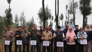 News, Kembangkan Klaster Kentang Malang, Polbangtan Kementan Kolaborasi dengan Pemkab Malang, panen,Klaster,Petani milenial,#PetaniMuda