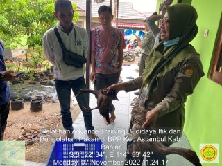 News, Tingkatkan Keterampilan Petani Muda, Kementan Bekali Advanced Training di Kalsel, YESS Programme,advance training,pelatihan,budidaya itik,ternak unggas,itik,pakan