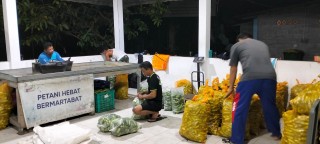 News, Optimalisasi Klaster Hortikultura: Kementan Dorong Pemberdayaan Generasi Muda di Jawa Barat, kementerian pertanian,BPPSDMP,Polbangtan Bogor