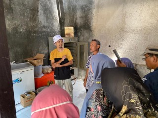 News, Potensi Wilayah, Petani Muda Kembangkan Klaster Nanas Subang, IPAD,Program YESS,Kementrian Pertanian,YESS BPPSDMP,Polbangtan Bogor