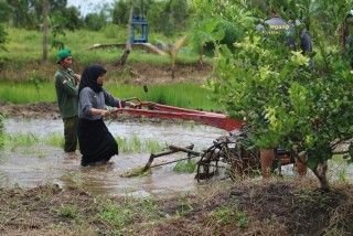 News, Tingkatkan Kompetensi  SDM Pertanian, Kementan  Laksanakan Bimtek Pemagangan untuk Petani Muda Kalsel , #KementerianPertanian #ProgramYESSKalsel #PPIUKalsel #SMKPPNBanjarbaru,#MagangYESS #MagangPertanian #CetakSawah